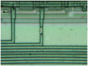 Opening in passivation layer above the data bus line