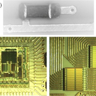 Recover MCU ATtiny861 Software from opened microcontroller attiny861 after crack it, and then read the firmware out from program and eeprom memory of microprocessor attiny861